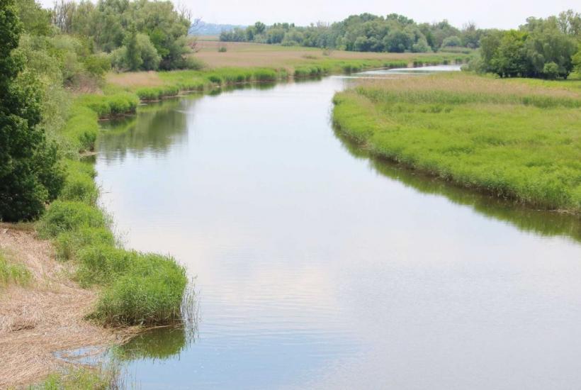 Ростовская область