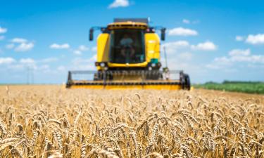 Жатва продолжается, посев идёт: зерновое будущее ЛНР обеспечено