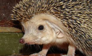 Туристы столкнулись с проблемами из-за неточностей написания имён с "ё"