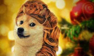 Хвост трубой: Желтая Собака диктует моду на прически