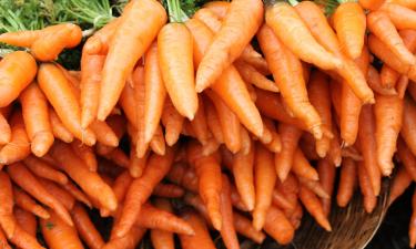 Как получить осенний урожай: посадка моркови и других овощей в конце июля