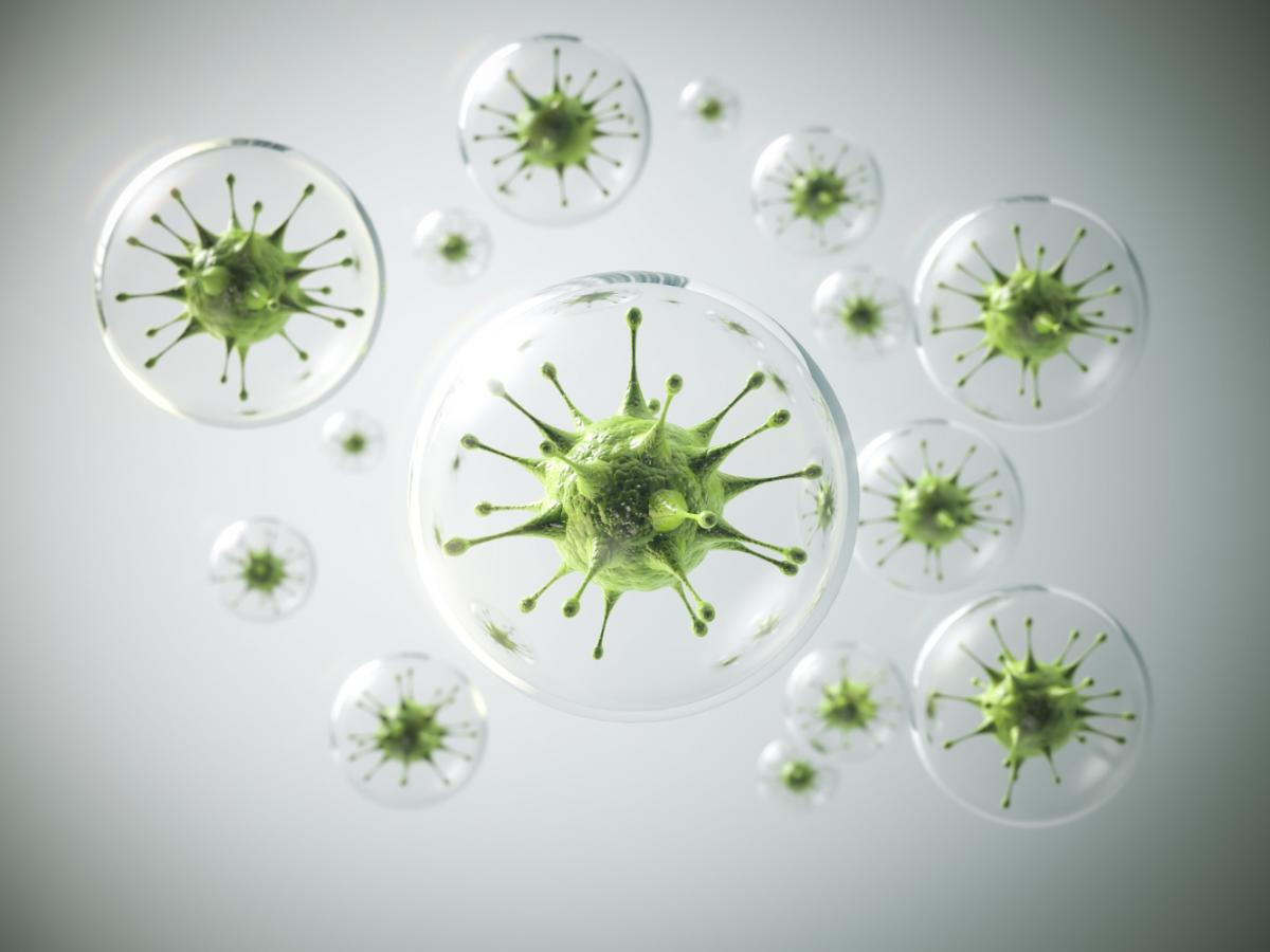 Rusijo zajel nov sev koronavirusa 'stratus', Kitajsko pa komarji prenašana vročica čikungunja