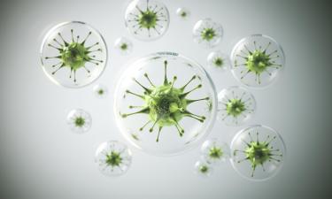 В России зарегистрированы случаи заражения новым штаммом COVID-19