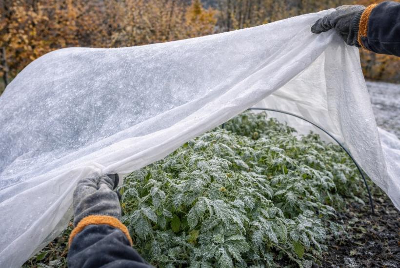 Сад под укрытием