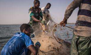 Неустановленный вирус "вышел из моря" в Сенегале. Больны 500 рыбаков