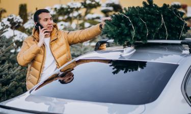 Самовольная вырубка ёлки с использованием авто подпадает под статью 8.28 КоАП