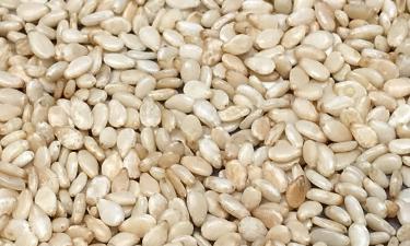 Кунжутное масло: секрет молодости и красоты, и это эффективное средство против старения