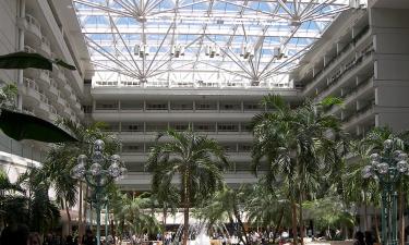 Крупные аэропорты превратили в общественные пространства — архитекторы