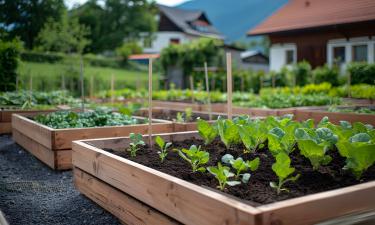 Не дайте удобрениям работать впустую: выявляем ошибки в подкормках