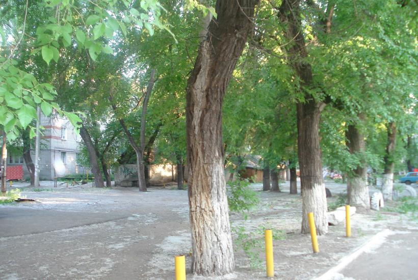 Тополиный пух на улицах города Тополиный пух на улицах города