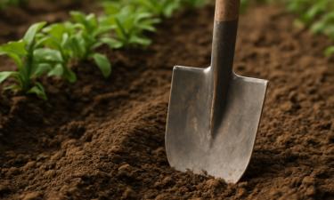 Время выбрать альтернативные методы обработки почвы