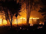 Лесные пожары: деньгами пламя не потушишь