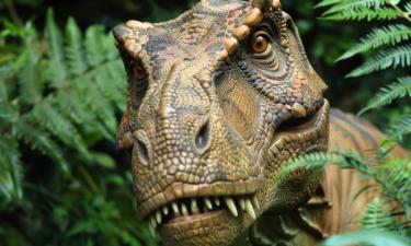 Возраст морской фауны 249 млн лет — ученые Университета Осло