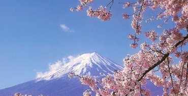 Япония: Россия нарушила суверенитет Украины