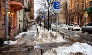 Петербург остается на грани экокатастрофы