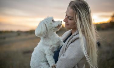 Поглаживание собак снижает уровень стресса у людей — Питомцы Mail