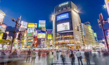 Не просто пророчества, а реальность: почему туристы в ужасе отказываются от поездок в Японию в 2025 году