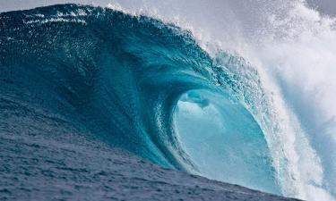 Цунами у Гавайев! Круизные лайнеры эвакуировались, оставив часть туристов на берегу