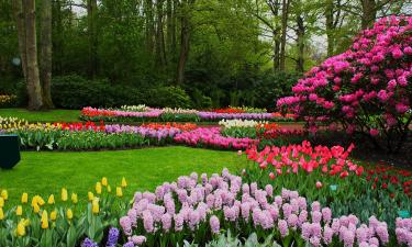 Венгерский дендрарий: живой класс, где студенты изучают ботанику в реальном времени