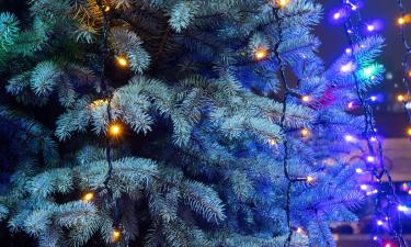 Невинный сыграл главную роль в фильме "Старый Новый год"