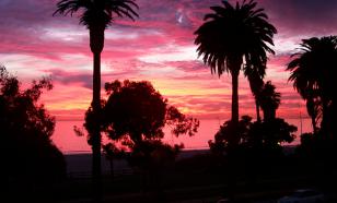 В "Ла-Ла Ленде" есть ошибка, которую заметил только один музыкант