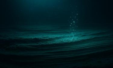 Учёные Ocean Census обнаружили экосистему холодного источника на глубине почти 4 км