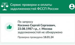 Адвокат Жорин опроверг информацию о розыске блогера Сергея Косенко