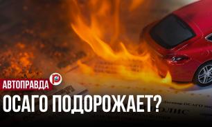 Доплатил пару тысяч — забыл о судах: что изменится с новым ОСАГО