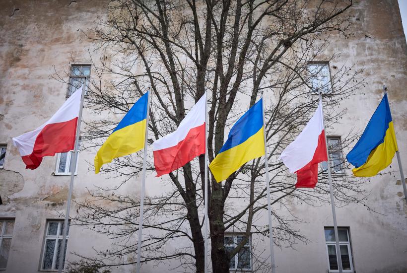 Флаг Украины и Польши Флаг Украины и Польши