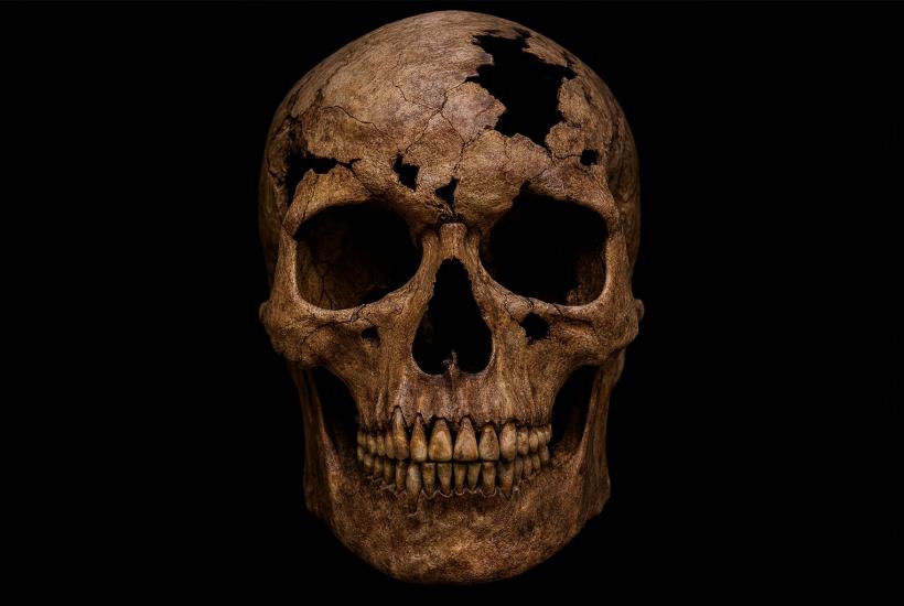 Древний череп