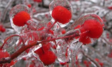 После солнцестояния световой день в Северном полушарии начинает расти — The Guardian