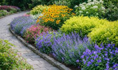 Многолетники формируют чёткий бордюр вдоль садовых дорожек