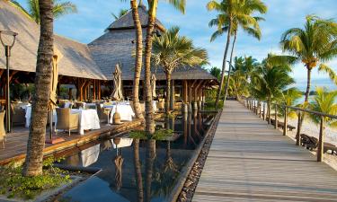 Райская жизнь на Маврикии однажды может обернуться суровой реальностью — Daily Mail