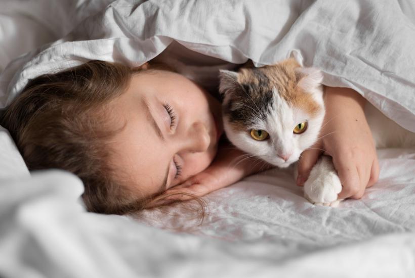 Кошка спит с девушкой