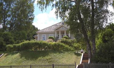 Пушкин встречает туриста: поездка в Михайловское превращает прогулку в сюжеты из стихов