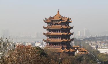 Ритуал для долголетия: как китайский сын устроил похоронную церемонию для своей живой матери