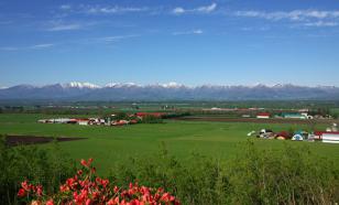 В Японии 8-летняя девочка умерла после физкультуры из-за рекордной температуры