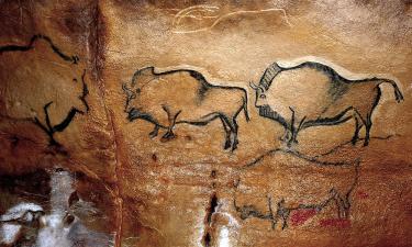 Фитнес-эксперт перечислил 3 упражнения, которые идеально подойти людям после 60 лет