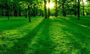 В Тульской области открыли отель, напечатанный на 3D-принтере