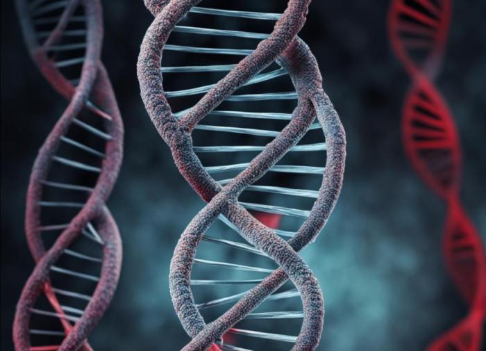 Гигантское исследование ДНК показало, откуда родом индийцы