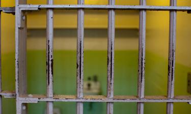 Телеведущую Фариду Курбангалиеву* приговорили к 8 годам лишения свободы