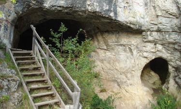 Геопарк в предгорьях Алтая получил научную концепцию развития