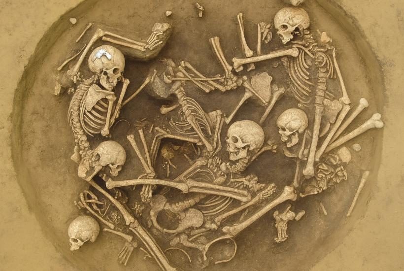 Древние скелеты
