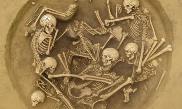 В Словакии нашли братскую могилу из 85 обезглавленных фермеров эпохи неолита — Earth