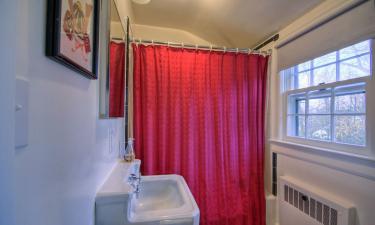 Чёрные точки на душевой шторе — тревожный сигнал: как остановить грибок за 15 минут