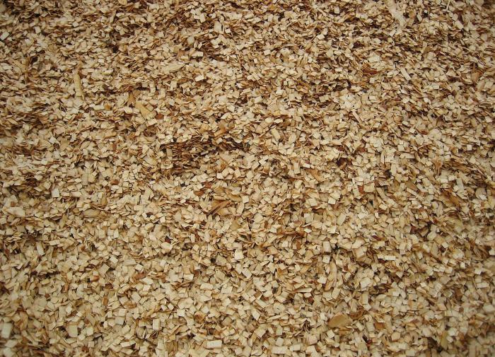 В России разработан инновационный способ получения целлюлозы