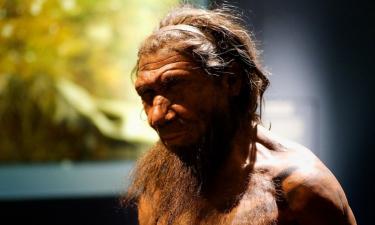 Череп из Харбина впервые напрямую связали с денисовцами — Earth