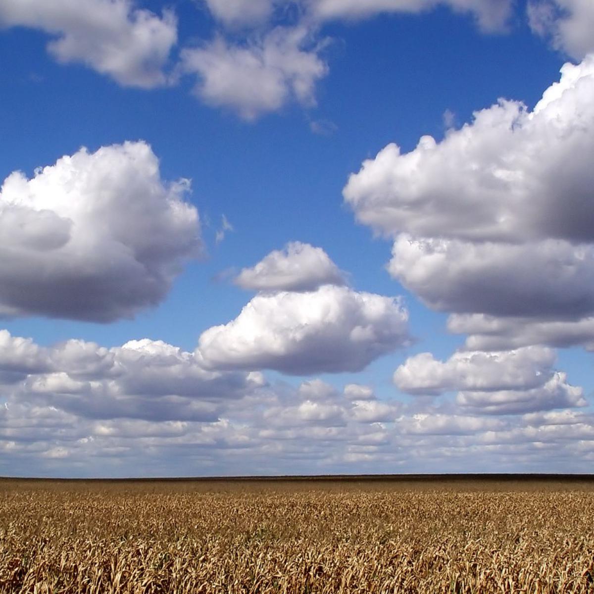 Снижение облачности усиливает эффект глобального потепления