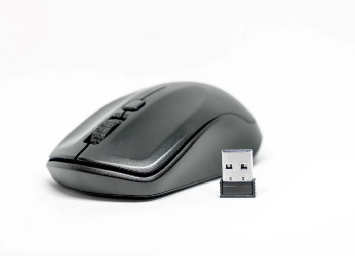 "Вечная мышь" по подписке: Logitech представила новое предложение