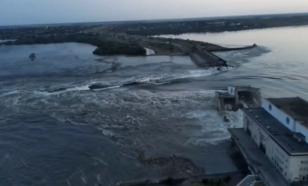 Кива: "Цель Зеленского — техногенная катастрофа и животный страх у людей"